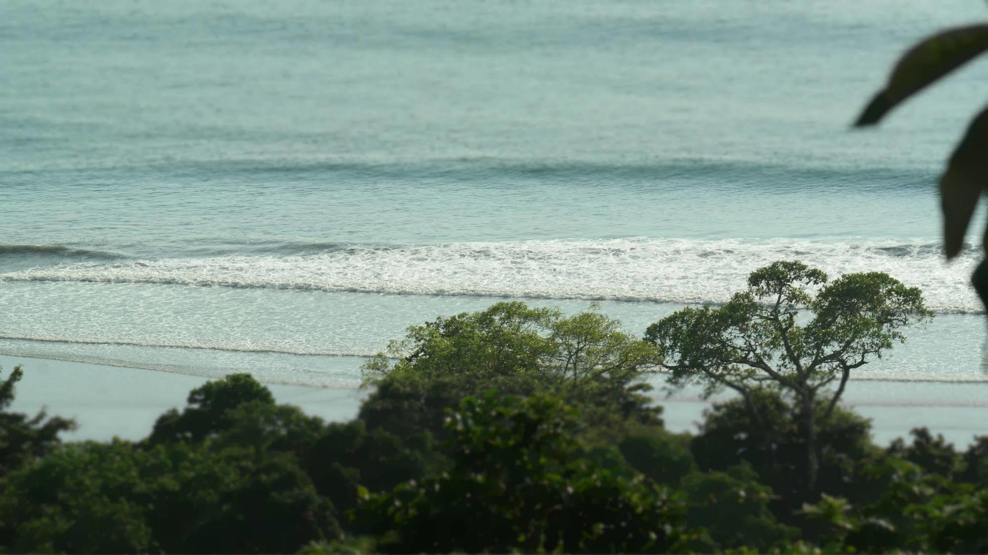 Ranchos Remo Lodge Uvita Zewnętrze zdjęcie