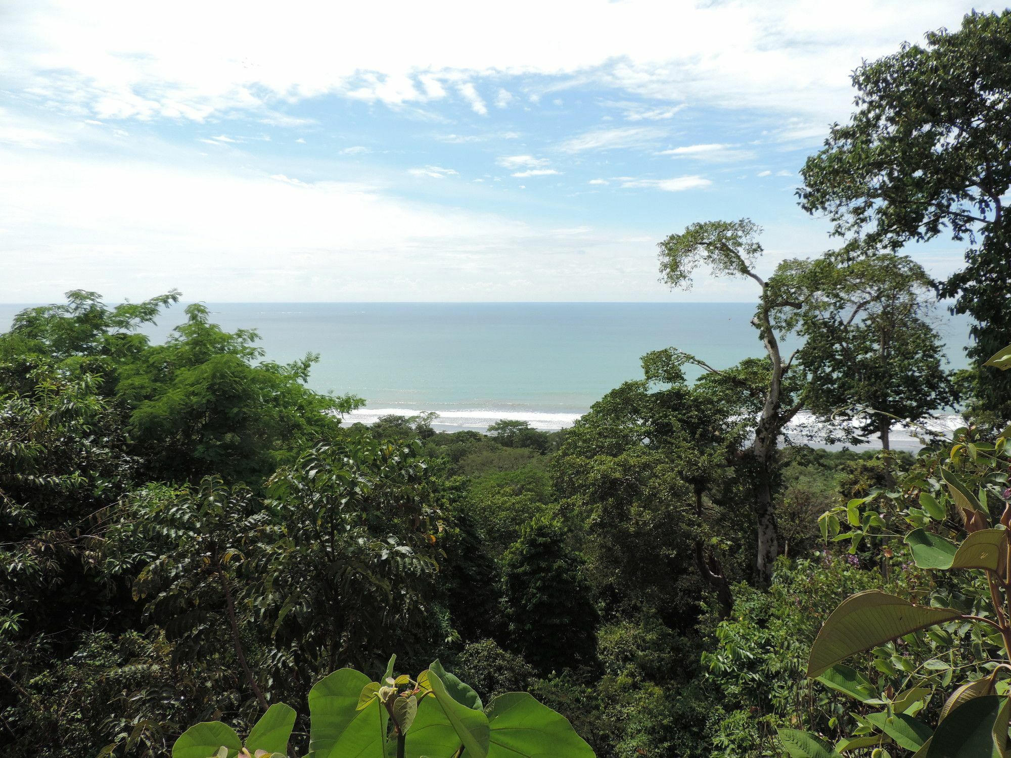 Ranchos Remo Lodge Uvita Zewnętrze zdjęcie